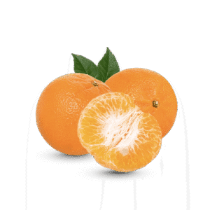 Fresh Orange